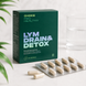 LYM DRAIN DETOX Програма, лімфодренаж, детоксикація (60 капсул) 2268881076 фото 2